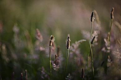 和《血源》无关！PS1复古《梦魇卡丁车》正式推出